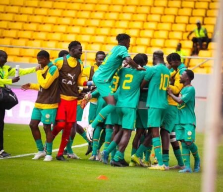 Préparations CHAN 2025 : Souleymane Diallo convoque 23 joueurs pour un nouveau regroupement