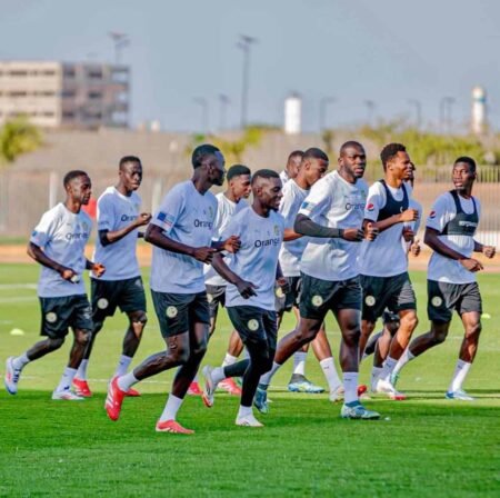 Equipe Nationale : Les Lions vont préparer l’Angleterre et l’Irlande à Diamniadio