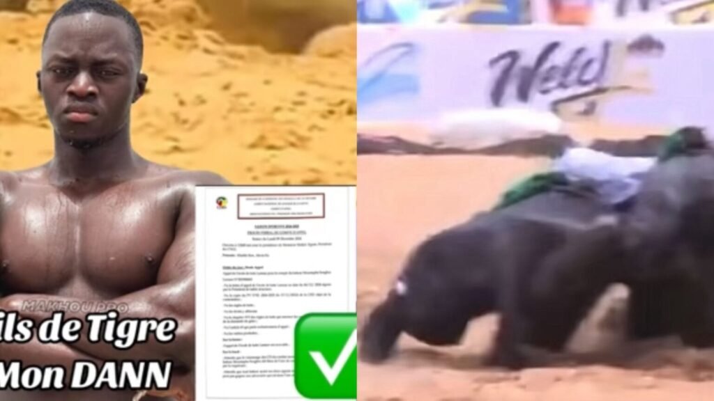 Ibra Mbaye conteste la victoire de Boy Ka : recours déposé Ibra Mbaye conteste la victoire de Boy Ka : recours déposé