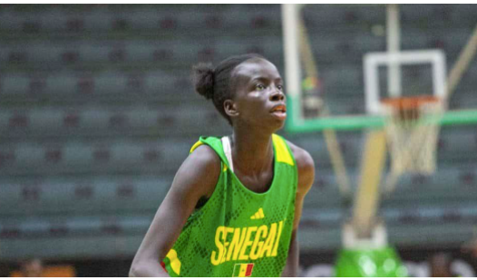 Afrobasket Féminin 2025 – Sénégal: La Fédération annonce une bonne nouvelle ! Afrobasket Féminin 2025 – Sénégal: La Fédération annonce une bonne nouvelle !