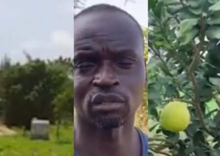 La nouvelle vie agricole de Ferdinand Coly (Vidéo)