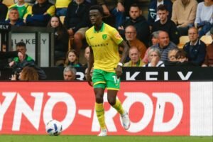 Norwich : Pape Amadou Diallo blessé aux quadriceps et absent plusieurs mois
