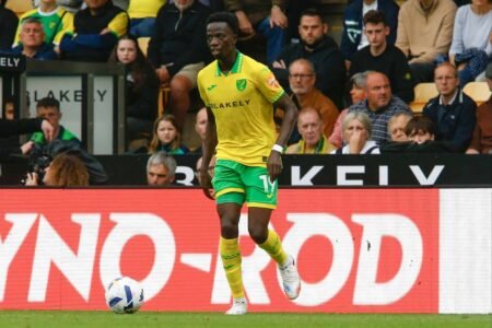 Norwich : Pape Amadou Diallo blessé aux quadriceps et absent plusieurs mois