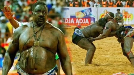 Gris Bordeaux sur son combat contre Jackson Jr : « Je ne veux pas le freiner (…) Je veux un lutteur agressif pour mon retour … »