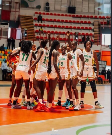 Basket : Sélectionneur des Lionnes, quatre prétendants pour le banc